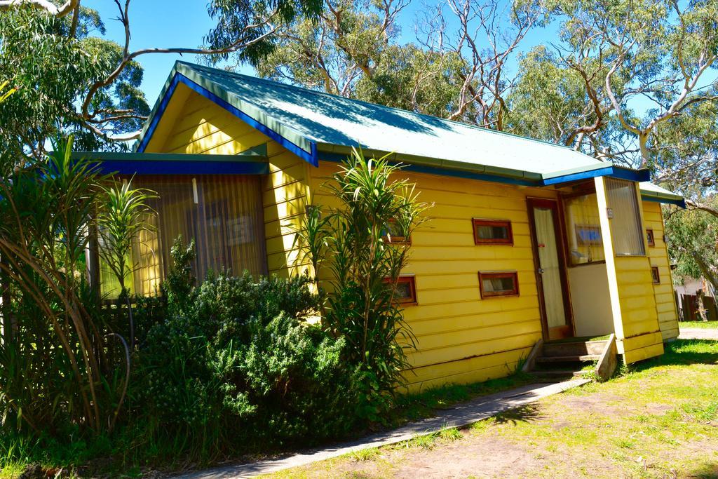 Bimbi Park - Camping Under Koalas Cape Otway Exterior photo